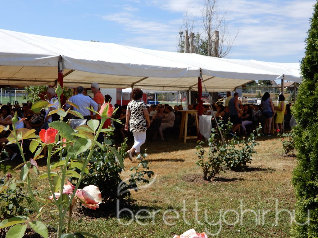 Semmelweis napi party 10